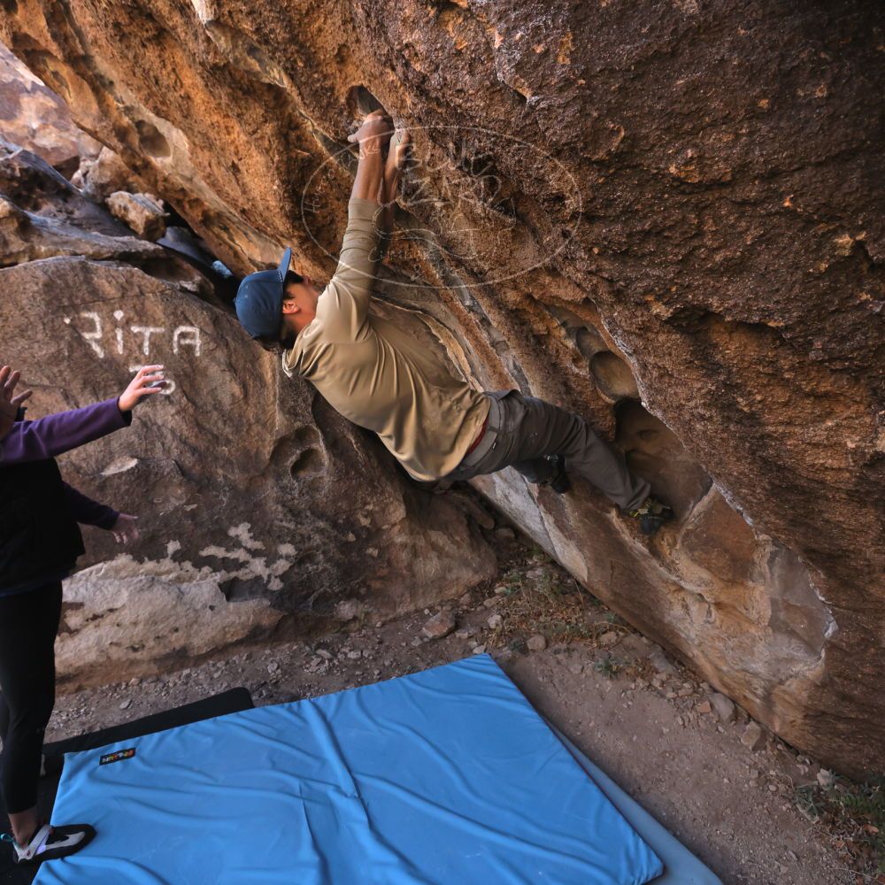 

Filename: SRM_20231120_1018510.jpg
Aperture: f/5.6
Shutter Speed: 1/500
Body: Canon EOS R6
Lens: Canon EF 16-35mm f/2.8 L