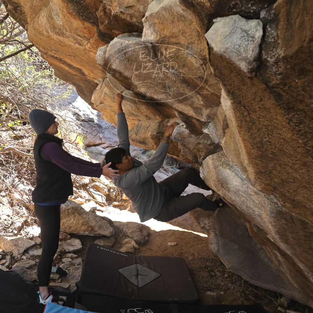 

Filename: SRM_20231120_1150590.jpg
Aperture: f/5.6
Shutter Speed: 1/500
Body: Canon EOS R6
Lens: Canon EF 16-35mm f/2.8 L