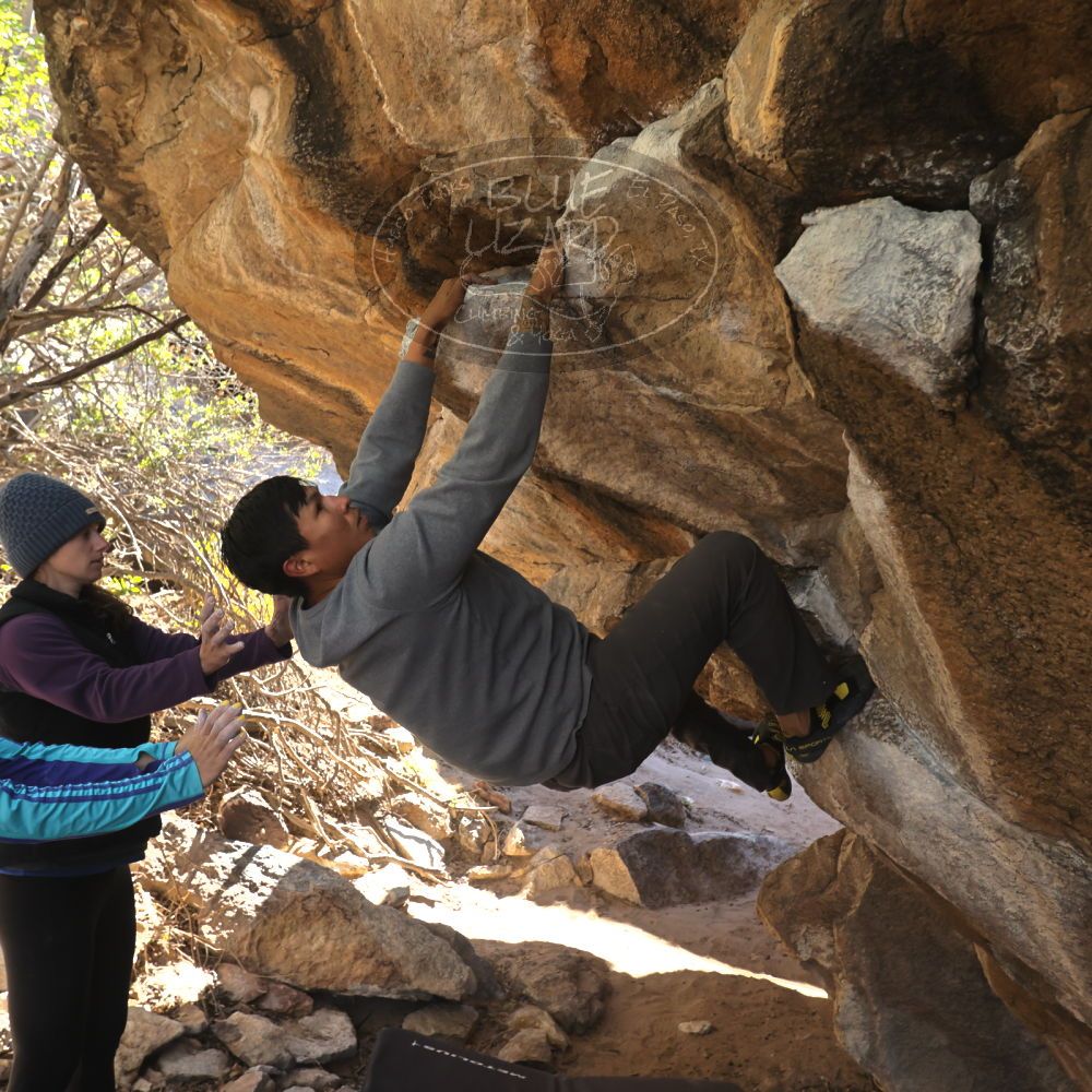 Filename: SRM_20231120_1151150.jpg
Aperture: f/5.6
Shutter Speed: 1/500
Body: Canon EOS R6
Lens: Canon EF 16-35mm f/2.8 L