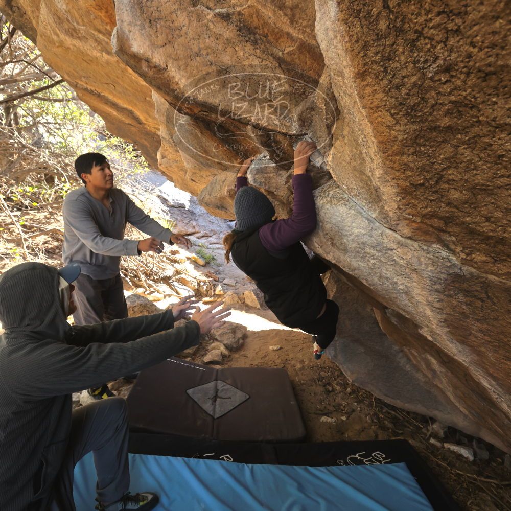 Filename: SRM_20231120_1152280.jpg
Aperture: f/5.6
Shutter Speed: 1/500
Body: Canon EOS R6
Lens: Canon EF 16-35mm f/2.8 L