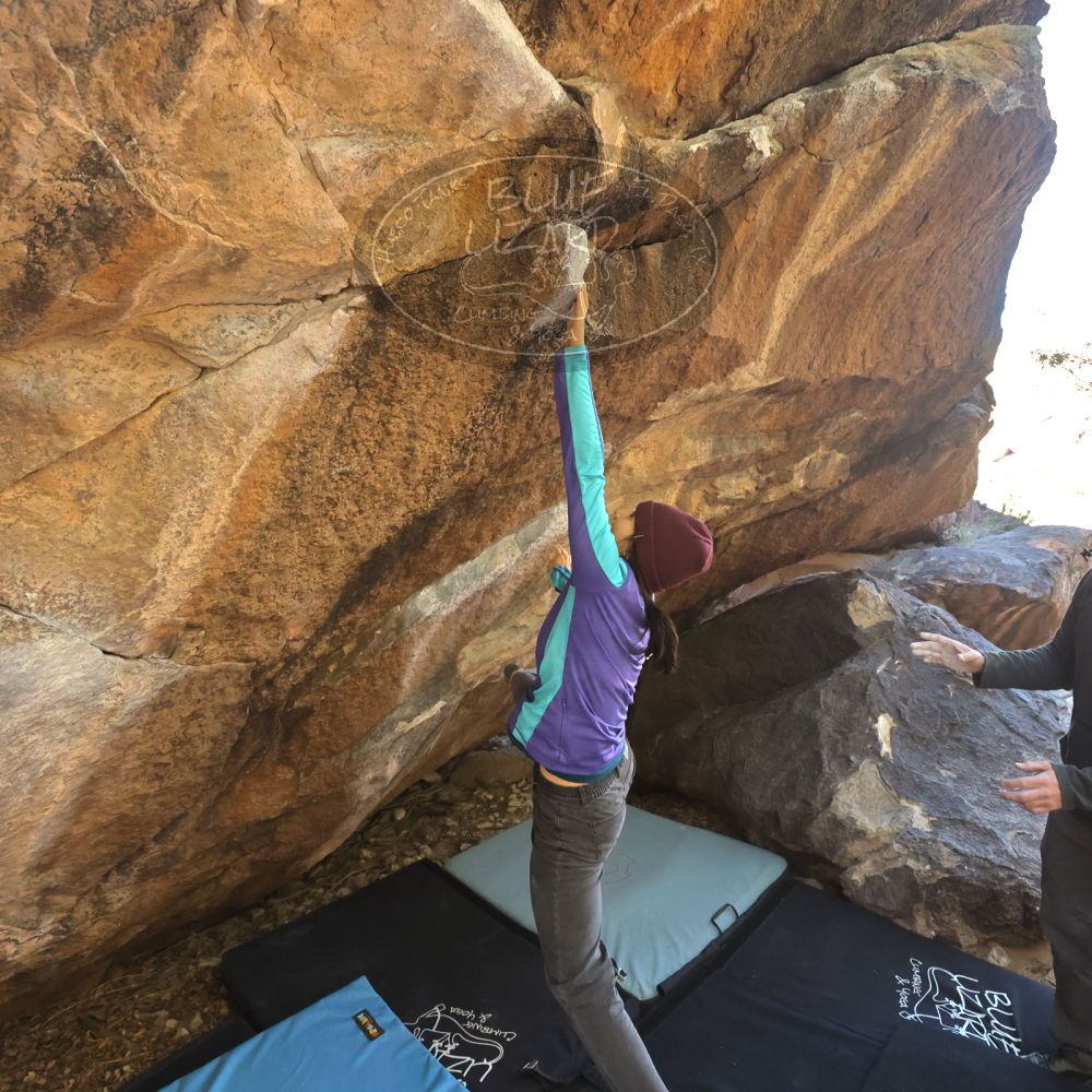 Filename: SRM_20231120_1155200.jpg
Aperture: f/5.6
Shutter Speed: 1/800
Body: Canon EOS R6
Lens: Canon EF 16-35mm f/2.8 L