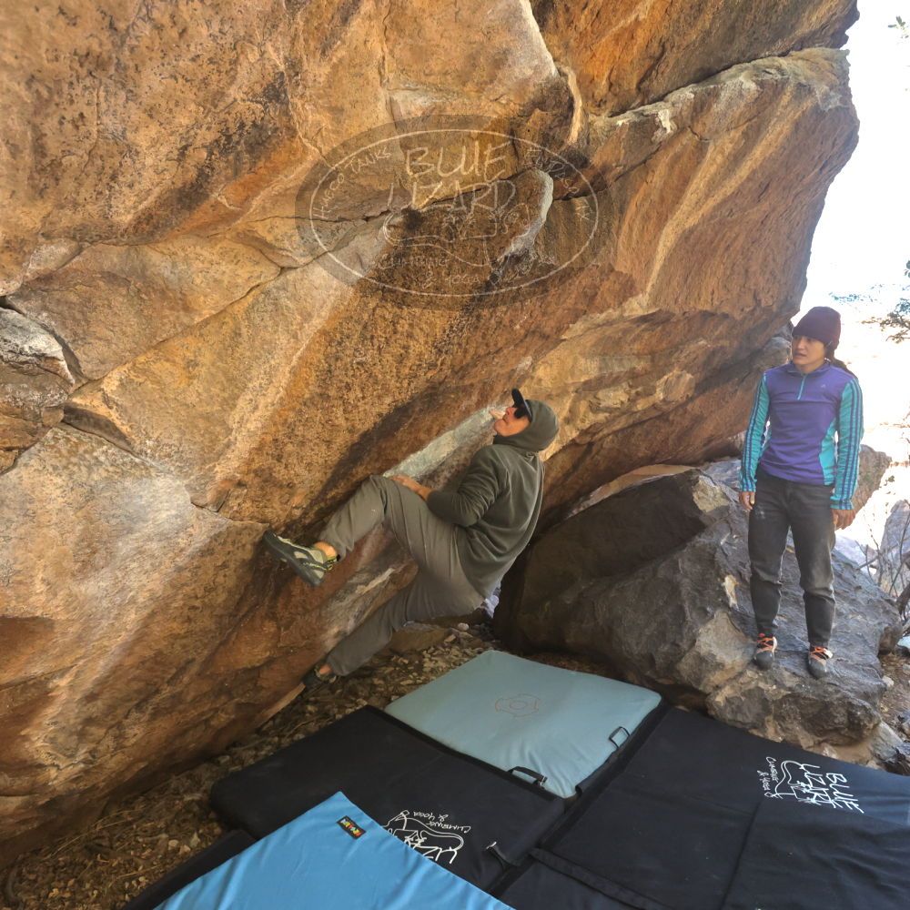 Filename: SRM_20231120_1155540.jpg
Aperture: f/5.6
Shutter Speed: 1/800
Body: Canon EOS R6
Lens: Canon EF 16-35mm f/2.8 L