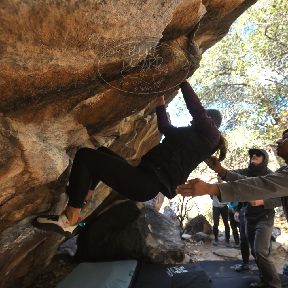 Filename: SRM_20231120_1159270.jpg
Aperture: f/5.6
Shutter Speed: 1/800
Body: Canon EOS R6
Lens: Canon EF 16-35mm f/2.8 L