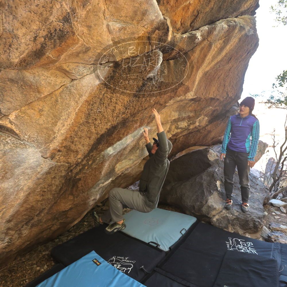 Filename: SRM_20231120_1155550.jpg
Aperture: f/5.6
Shutter Speed: 1/800
Body: Canon EOS R6
Lens: Canon EF 16-35mm f/2.8 L