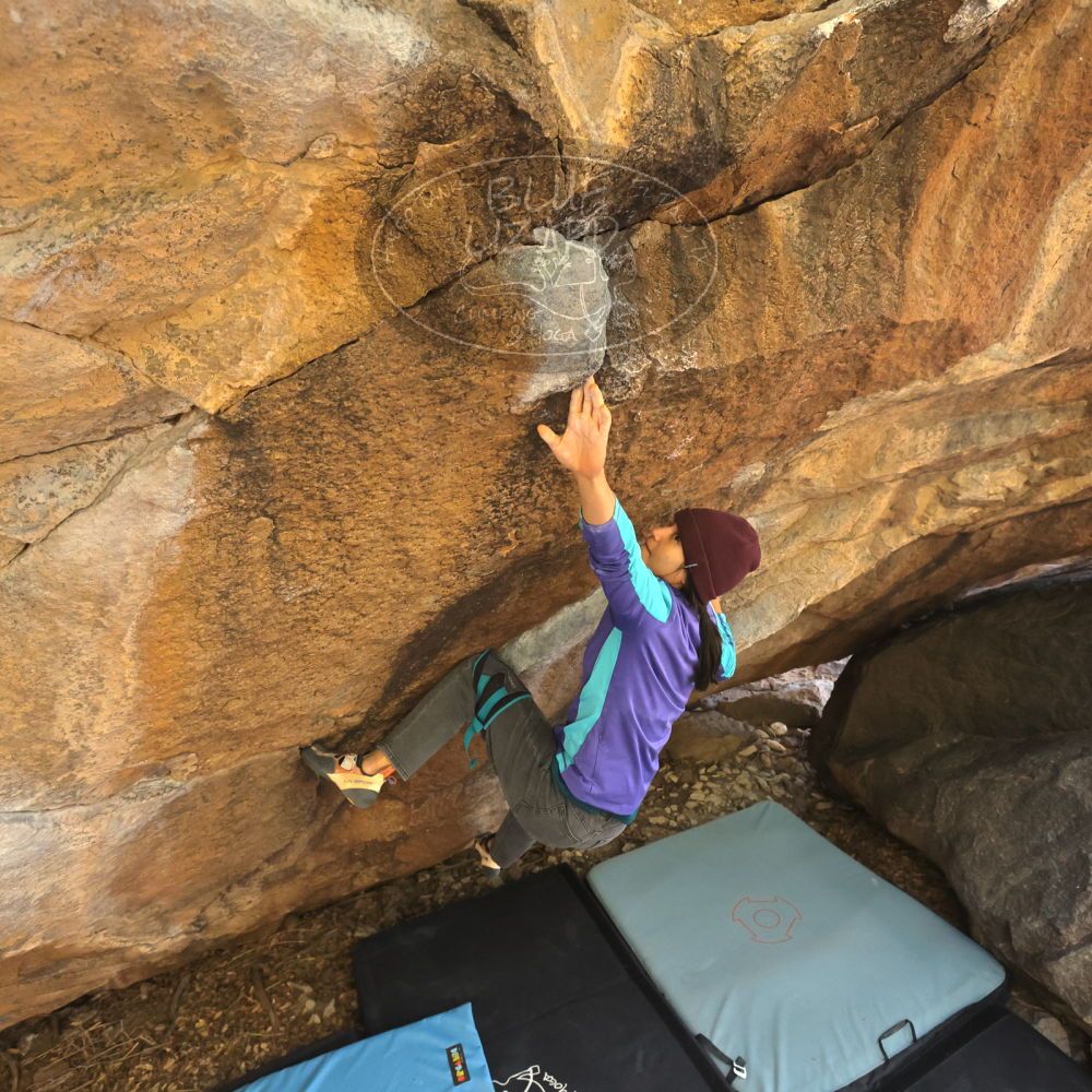 Filename: SRM_20231120_1213371.jpg
Aperture: f/5.6
Shutter Speed: 1/800
Body: Canon EOS R6
Lens: Canon EF 16-35mm f/2.8 L