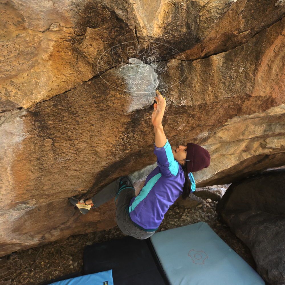 Filename: SRM_20231120_1213430.jpg
Aperture: f/5.6
Shutter Speed: 1/800
Body: Canon EOS R6
Lens: Canon EF 16-35mm f/2.8 L