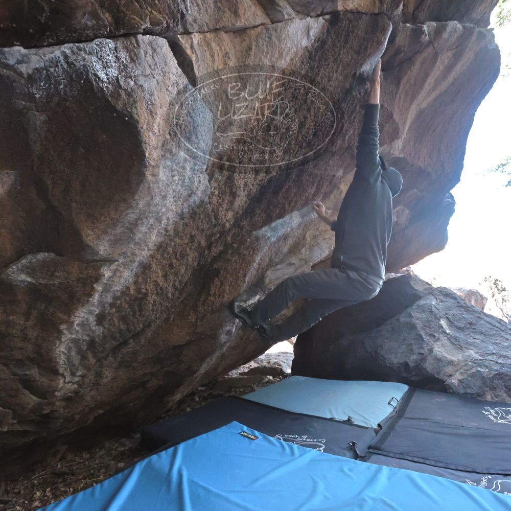 Filename: SRM_20231120_1214300.jpg
Aperture: f/5.6
Shutter Speed: 1/800
Body: Canon EOS R6
Lens: Canon EF 16-35mm f/2.8 L