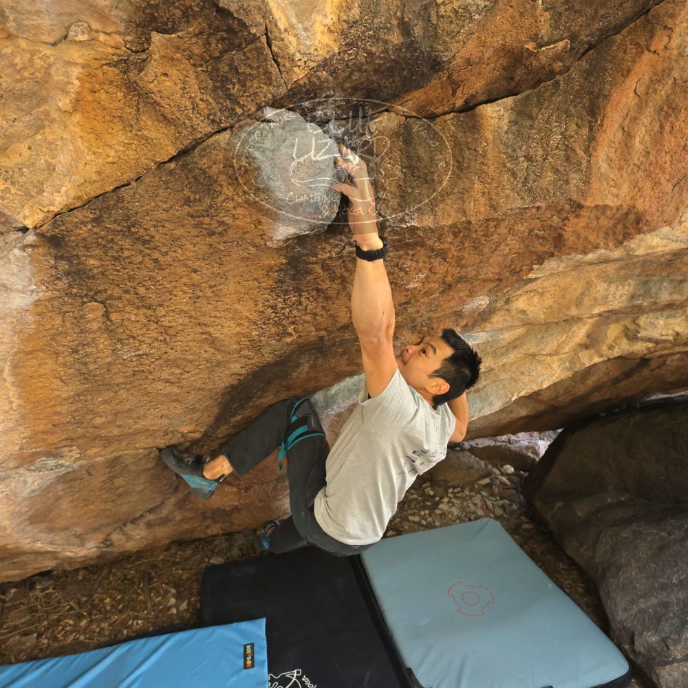 Filename: SRM_20231120_1211541.jpg
Aperture: f/5.6
Shutter Speed: 1/800
Body: Canon EOS R6
Lens: Canon EF 16-35mm f/2.8 L