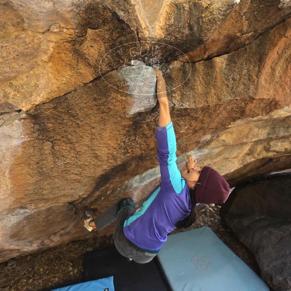 Filename: SRM_20231120_1213440.jpg
Aperture: f/5.6
Shutter Speed: 1/800
Body: Canon EOS R6
Lens: Canon EF 16-35mm f/2.8 L