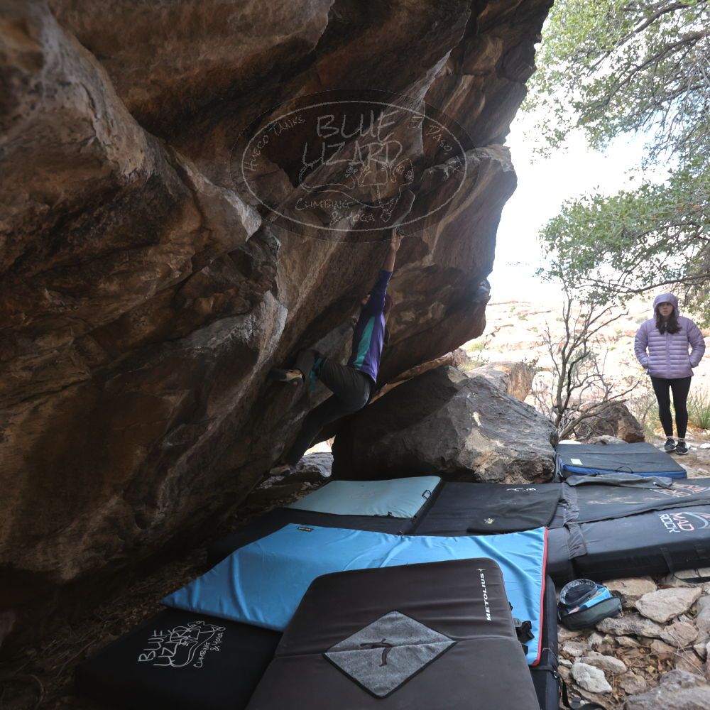 Filename: SRM_20231120_1240550.jpg
Aperture: f/4.0
Shutter Speed: 1/800
Body: Canon EOS R6
Lens: Canon EF 16-35mm f/2.8 L