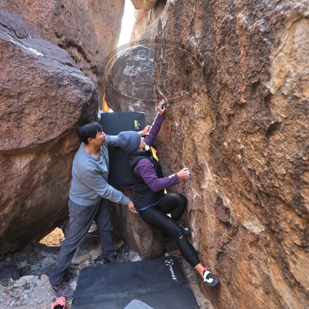 Filename: SRM_20231120_1246110.jpg
Aperture: f/4.0
Shutter Speed: 1/320
Body: Canon EOS R6
Lens: Canon EF 16-35mm f/2.8 L