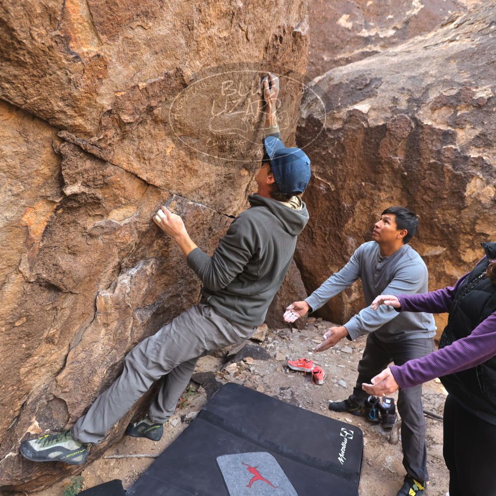 

Filename: SRM_20231120_1257450.jpg
Aperture: f/4.0
Shutter Speed: 1/320
Body: Canon EOS R6
Lens: Canon EF 16-35mm f/2.8 L