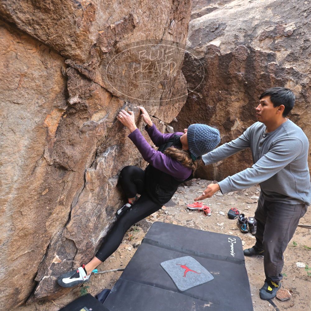 

Filename: SRM_20231120_1254380.jpg
Aperture: f/4.0
Shutter Speed: 1/320
Body: Canon EOS R6
Lens: Canon EF 16-35mm f/2.8 L