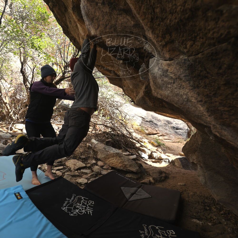 Filename: SRM_20231120_1332011.jpg
Aperture: f/4.0
Shutter Speed: 1/500
Body: Canon EOS R6
Lens: Canon EF 16-35mm f/2.8 L