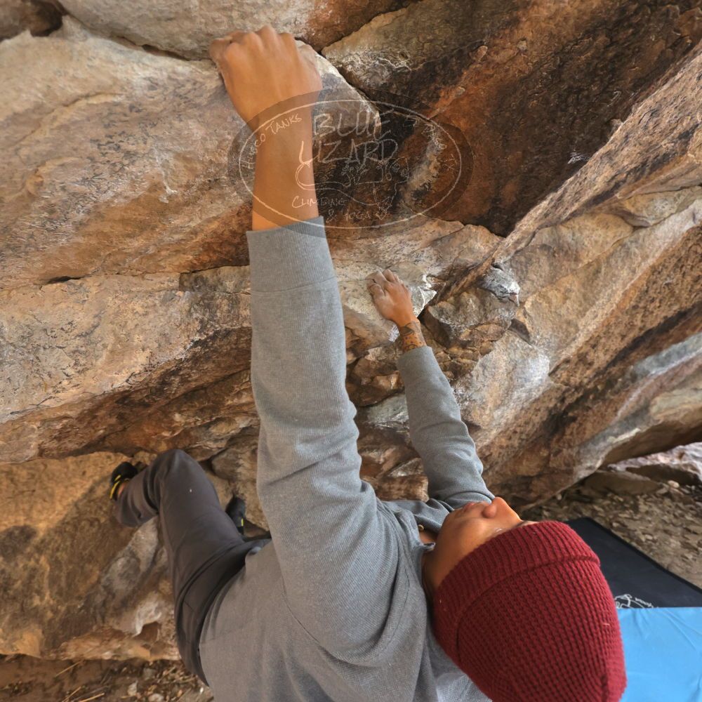 Filename: SRM_20231120_1337330.jpg
Aperture: f/4.0
Shutter Speed: 1/500
Body: Canon EOS R6
Lens: Canon EF 16-35mm f/2.8 L