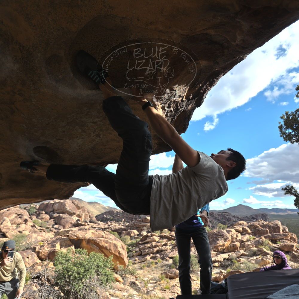 Filename: SRM_20231120_1430450.jpg
Aperture: f/4.0
Shutter Speed: 1/500
Body: Canon EOS R6
Lens: Canon EF 16-35mm f/2.8 L