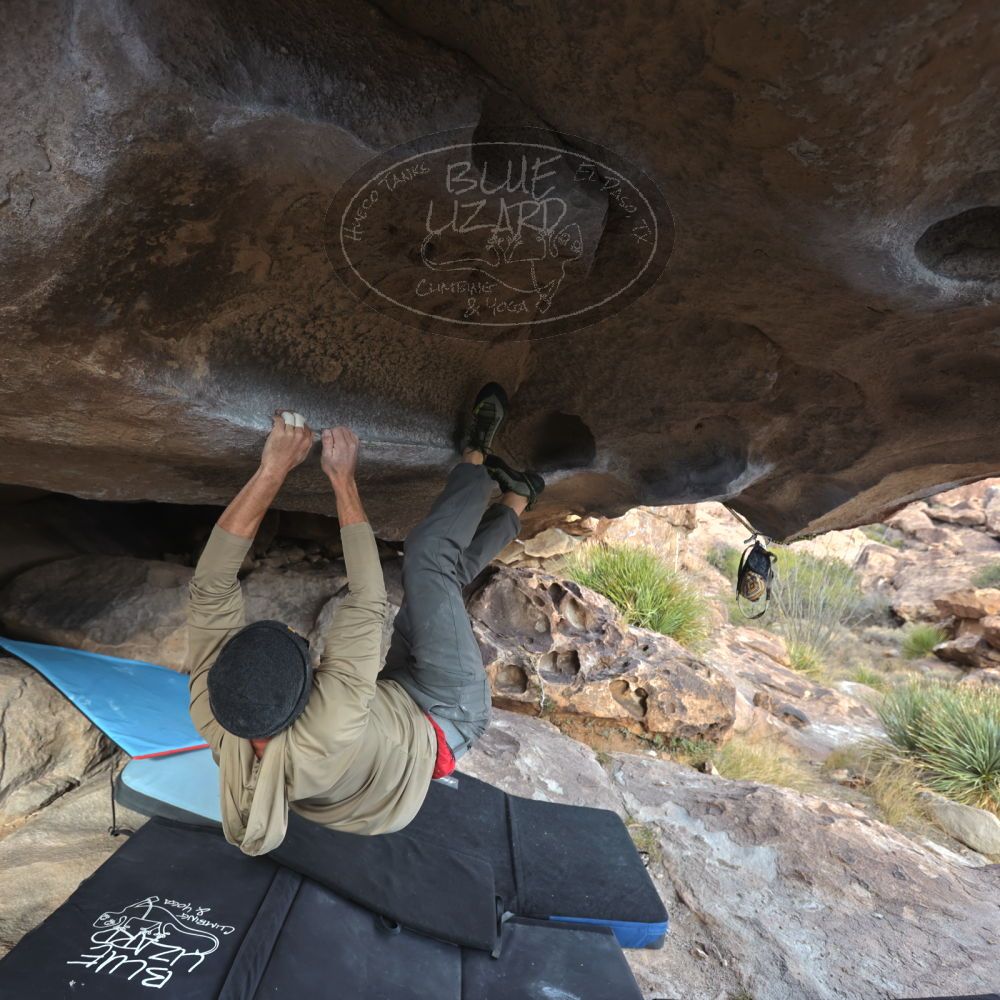 Filename: SRM_20231120_1445410.jpg
Aperture: f/4.0
Shutter Speed: 1/500
Body: Canon EOS R6
Lens: Canon EF 16-35mm f/2.8 L