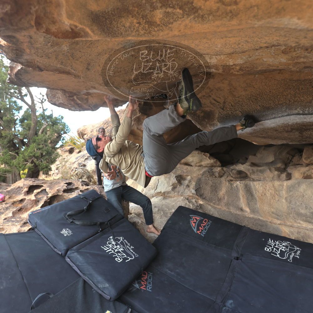 Filename: SRM_20231120_1455190.jpg
Aperture: f/4.0
Shutter Speed: 1/500
Body: Canon EOS R6
Lens: Canon EF 16-35mm f/2.8 L