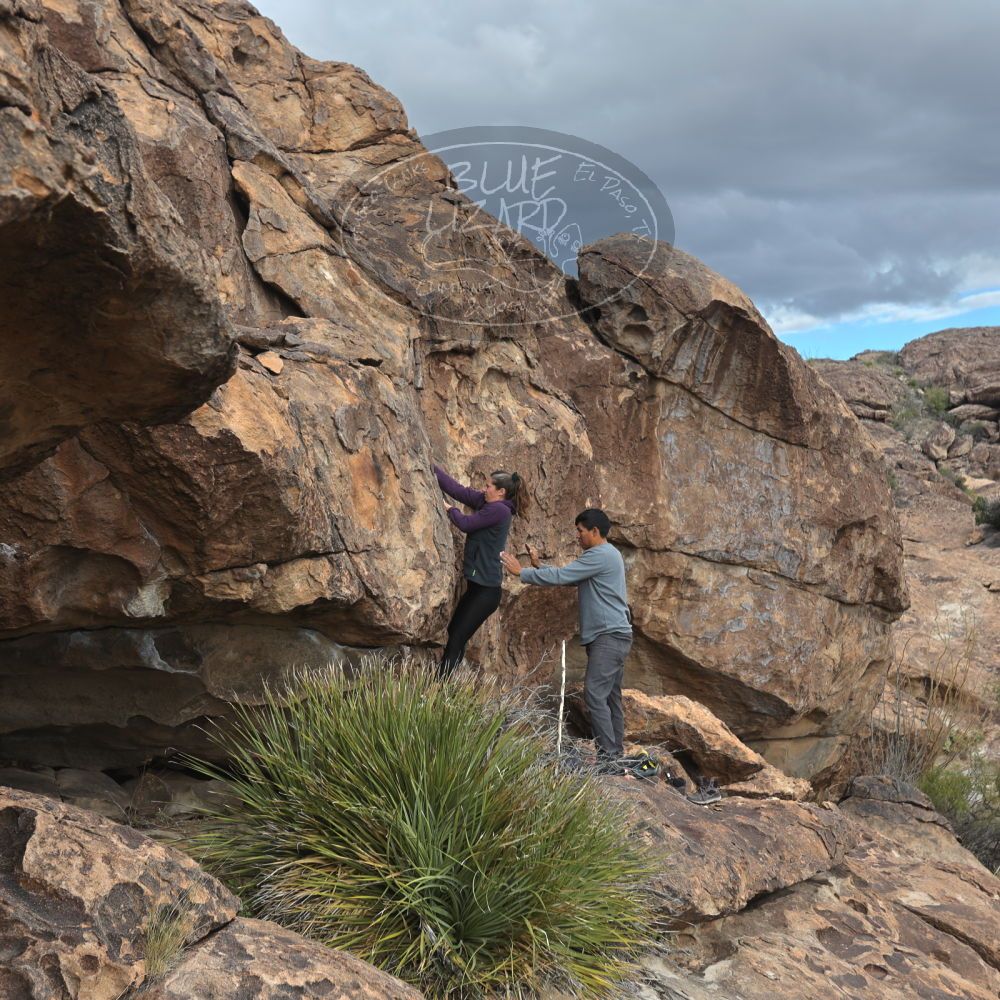 Filename: SRM_20231120_1500180.jpg
Aperture: f/4.0
Shutter Speed: 1/500
Body: Canon EOS R6
Lens: Canon EF 16-35mm f/2.8 L