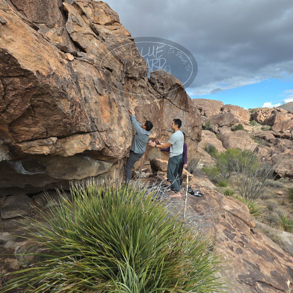 

Filename: SRM_20231120_1507000.jpg
Aperture: f/4.0
Shutter Speed: 1/500
Body: Canon EOS R6
Lens: Canon EF 16-35mm f/2.8 L