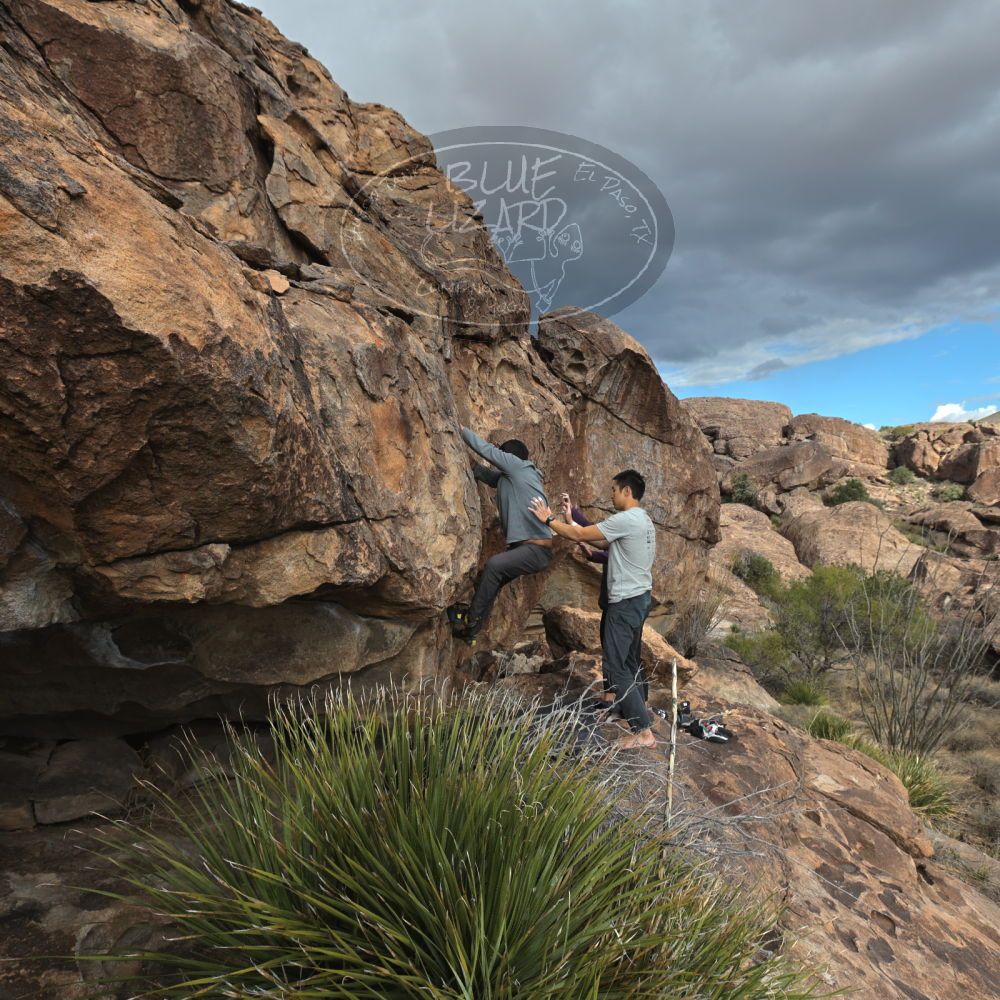 

Filename: SRM_20231120_1507150.jpg
Aperture: f/5.6
Shutter Speed: 1/1000
Body: Canon EOS R6
Lens: Canon EF 16-35mm f/2.8 L