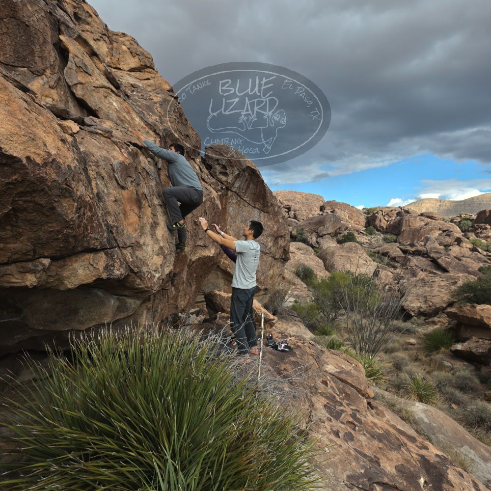 Filename: SRM_20231120_1508060.jpg
Aperture: f/5.6
Shutter Speed: 1/1000
Body: Canon EOS R6
Lens: Canon EF 16-35mm f/2.8 L