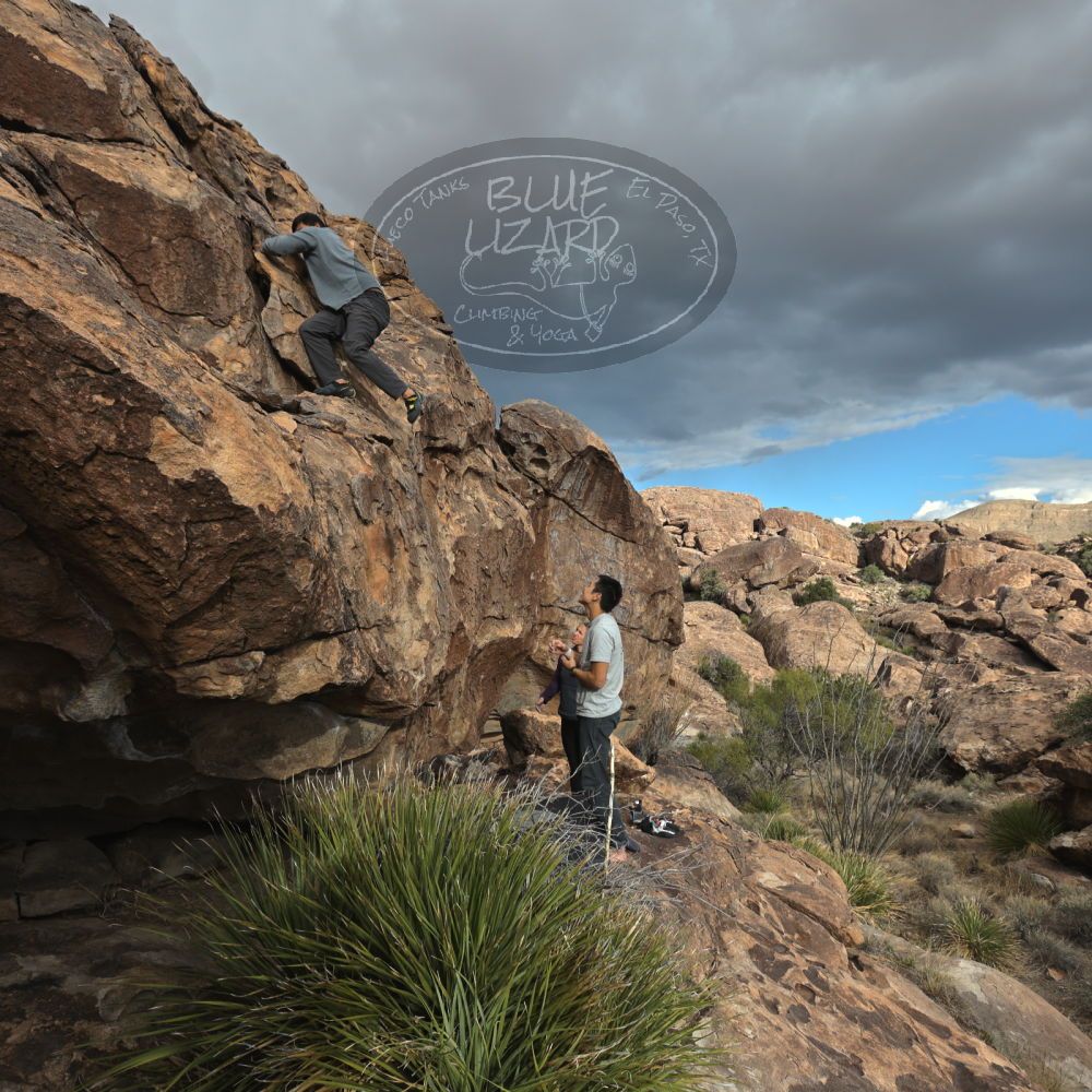 Filename: SRM_20231120_1508370.jpg
Aperture: f/5.6
Shutter Speed: 1/1000
Body: Canon EOS R6
Lens: Canon EF 16-35mm f/2.8 L