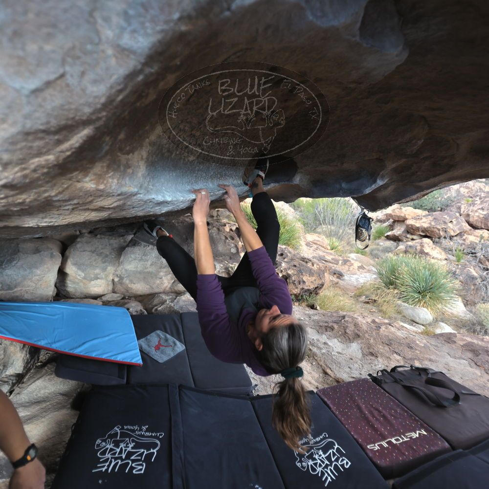 Filename: SRM_20231120_1524290.jpg
Aperture: f/2.8
Shutter Speed: 1/1000
Body: Canon EOS R6
Lens: Canon EF 16-35mm f/2.8 L