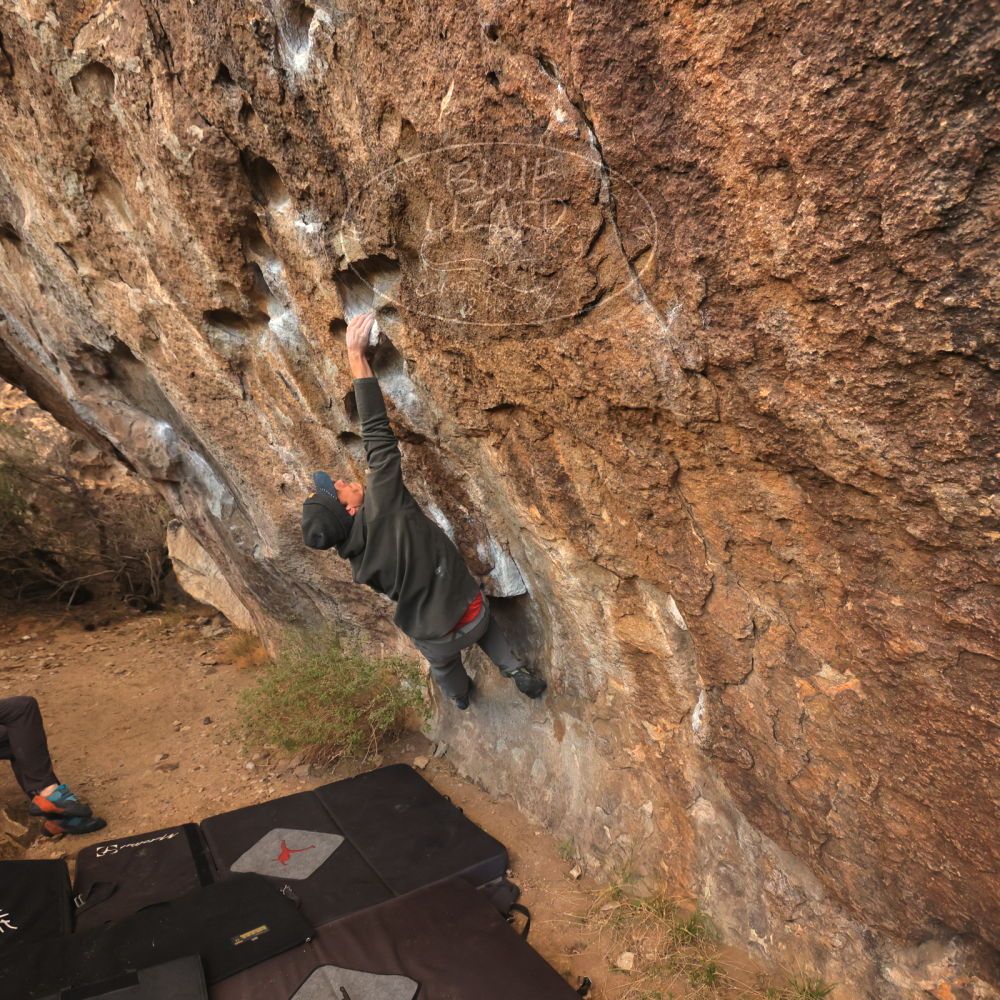 Filename: SRM_20231120_1655290.jpg
Aperture: f/5.6
Shutter Speed: 1/400
Body: Canon EOS R6
Lens: Canon EF 16-35mm f/2.8 L