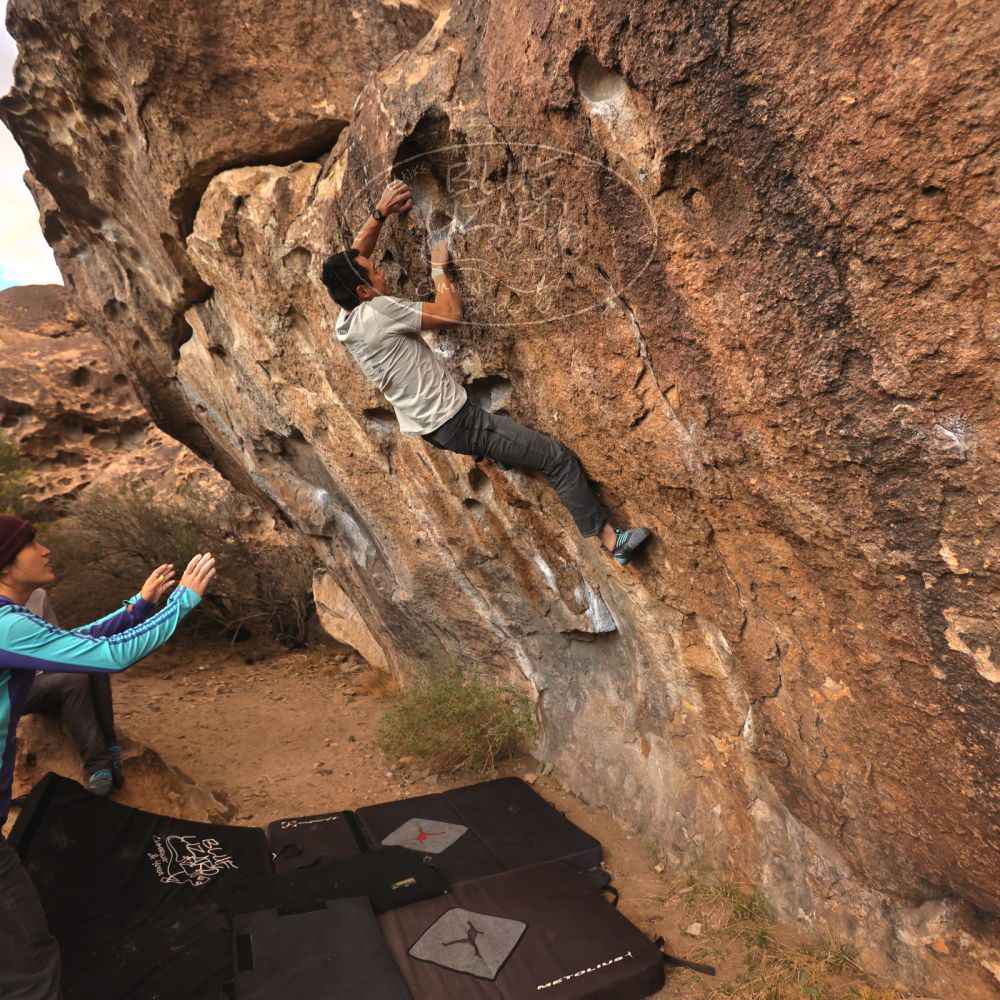 Filename: SRM_20231120_1658230.jpg
Aperture: f/4.0
Shutter Speed: 1/400
Body: Canon EOS R6
Lens: Canon EF 16-35mm f/2.8 L