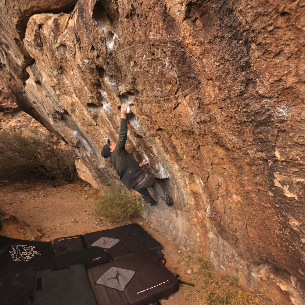 Filename: SRM_20231120_1659331.jpg
Aperture: f/4.0
Shutter Speed: 1/400
Body: Canon EOS R6
Lens: Canon EF 16-35mm f/2.8 L