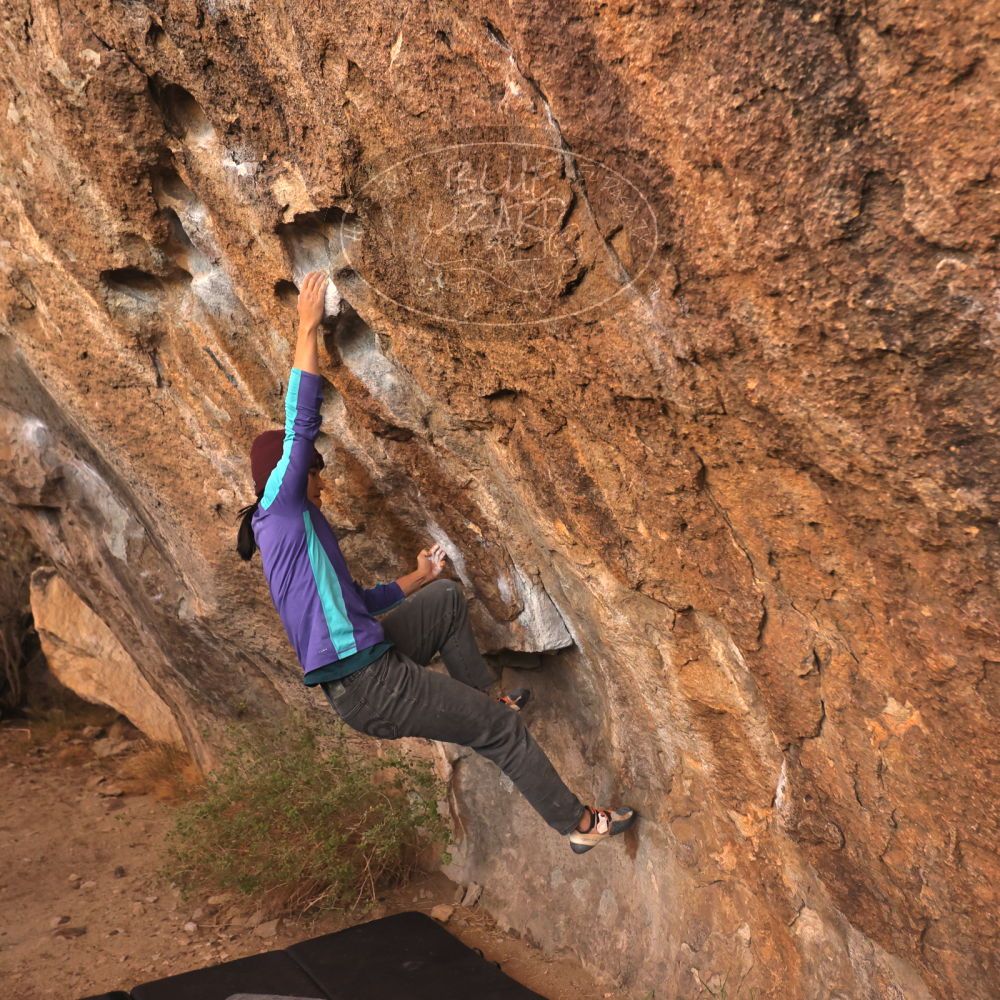 Filename: SRM_20231120_1701550.jpg
Aperture: f/4.0
Shutter Speed: 1/400
Body: Canon EOS R6
Lens: Canon EF 16-35mm f/2.8 L