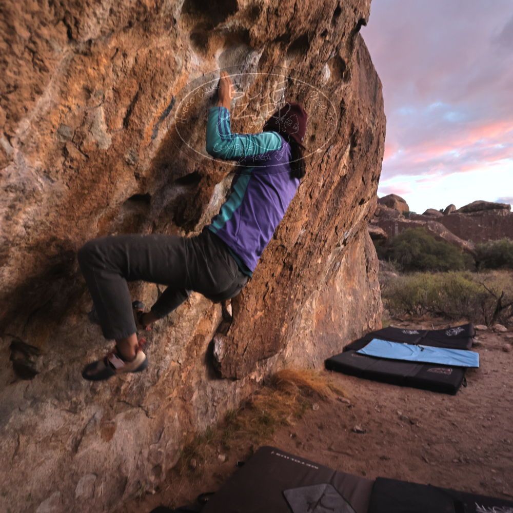 Filename: SRM_20231120_1709330.jpg
Aperture: f/4.0
Shutter Speed: 1/320
Body: Canon EOS R6
Lens: Canon EF 16-35mm f/2.8 L