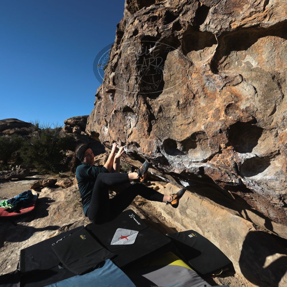 Filename: SRM_20231122_0907290.jpg
Aperture: f/8.0
Shutter Speed: 1/640
Body: Canon EOS R6
Lens: Canon EF 16-35mm f/2.8 L