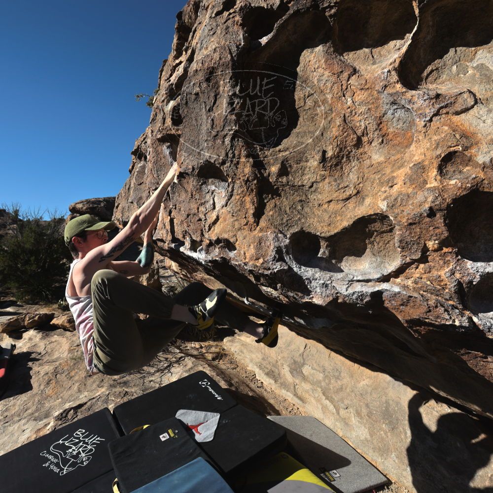 Filename: SRM_20231122_0931220.jpg
Aperture: f/8.0
Shutter Speed: 1/640
Body: Canon EOS R6
Lens: Canon EF 16-35mm f/2.8 L