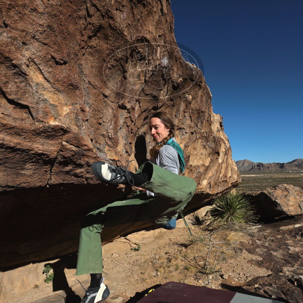 Filename: SRM_20231122_0937000.jpg
Aperture: f/8.0
Shutter Speed: 1/1000
Body: Canon EOS R6
Lens: Canon EF 16-35mm f/2.8 L