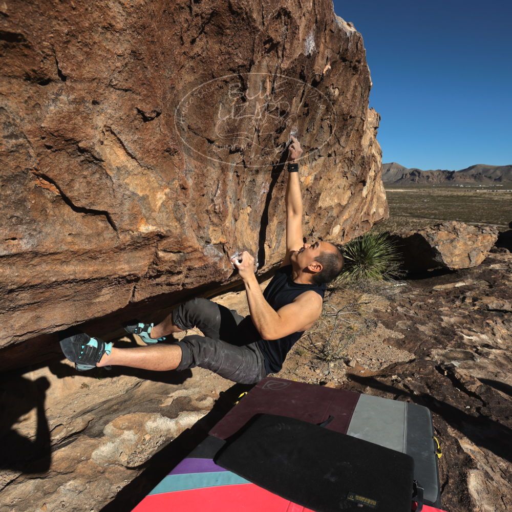 Filename: SRM_20231122_0937340.jpg
Aperture: f/8.0
Shutter Speed: 1/1000
Body: Canon EOS R6
Lens: Canon EF 16-35mm f/2.8 L