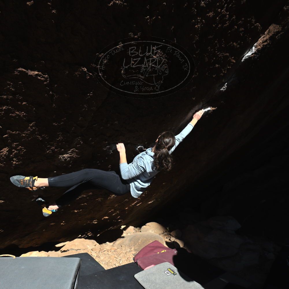 Filename: SRM_20231122_1019580.jpg
Aperture: f/5.6
Shutter Speed: 1/1000
Body: Canon EOS R6
Lens: Canon EF 16-35mm f/2.8 L