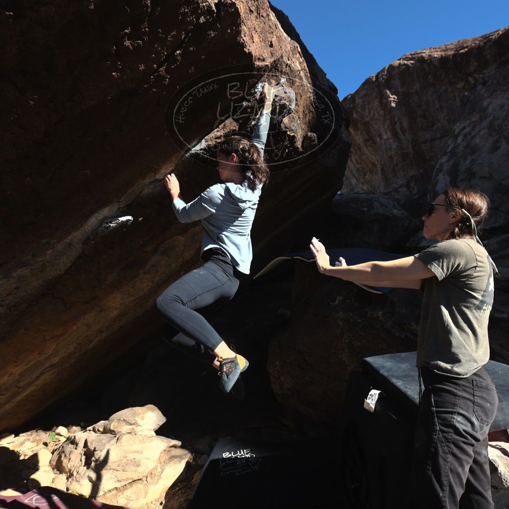 Filename: SRM_20231122_1026010.jpg
Aperture: f/5.6
Shutter Speed: 1/1000
Body: Canon EOS R6
Lens: Canon EF 16-35mm f/2.8 L