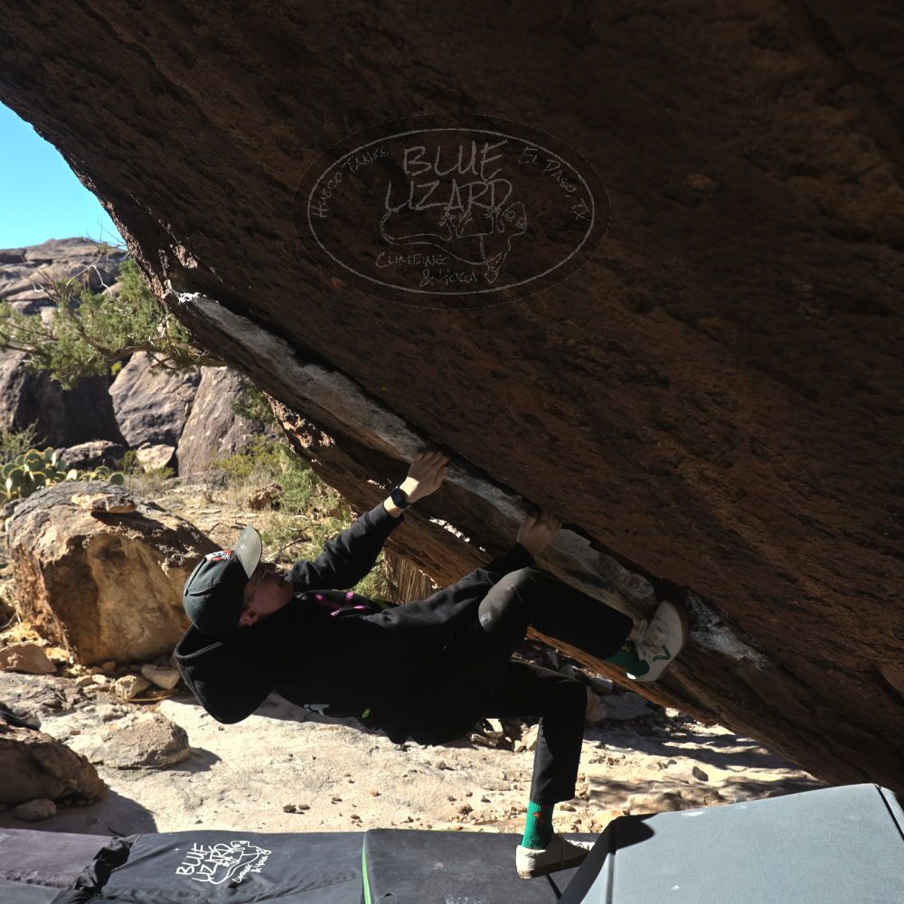 

Filename: SRM_20231122_1041480.jpg
Aperture: f/5.6
Shutter Speed: 1/1250
Body: Canon EOS R6
Lens: Canon EF 16-35mm f/2.8 L