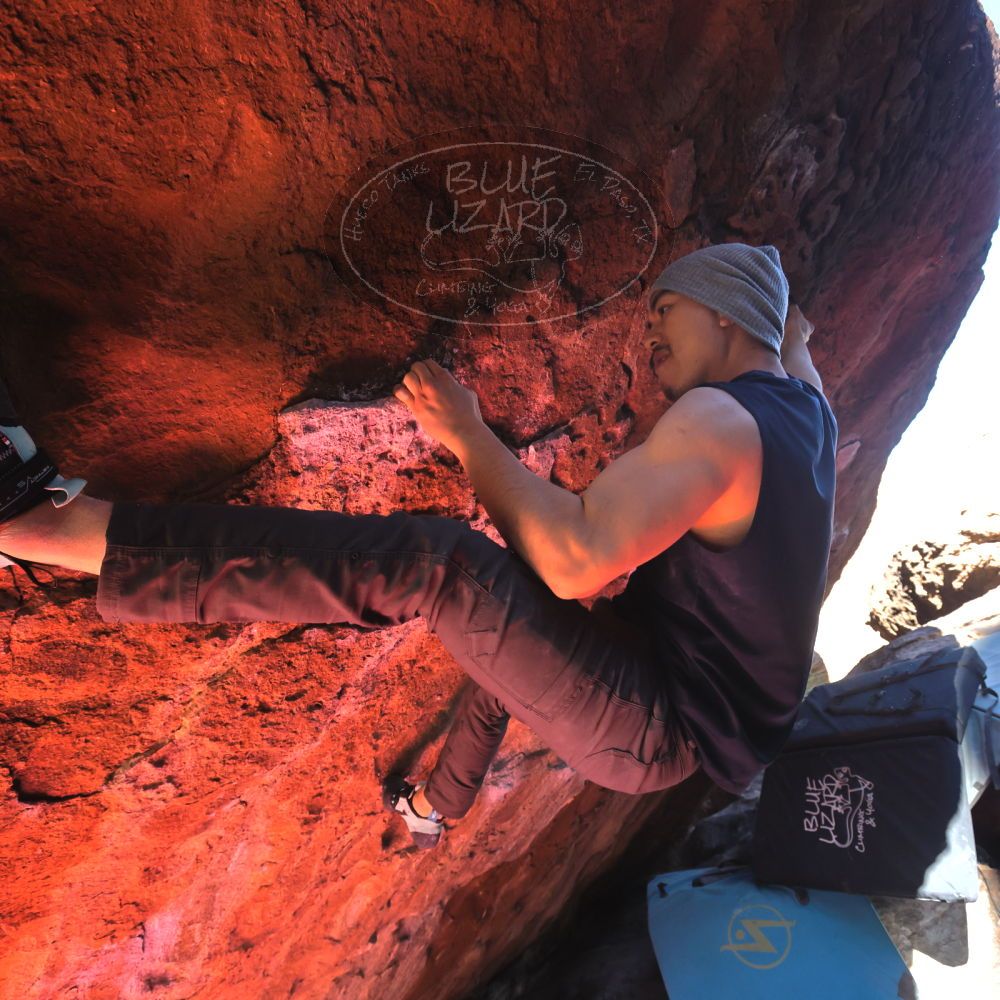 Filename: SRM_20231122_1113220.jpg
Aperture: f/5.6
Shutter Speed: 1/400
Body: Canon EOS R6
Lens: Canon EF 16-35mm f/2.8 L