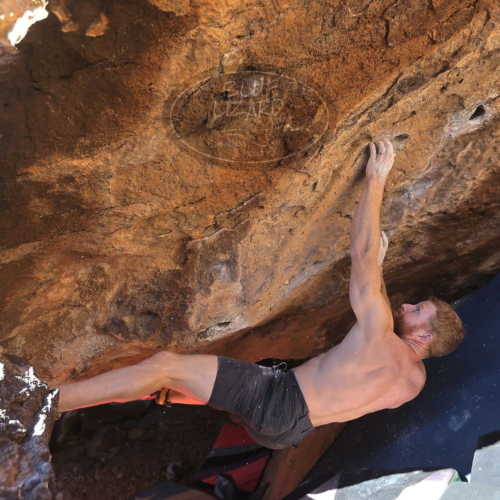 

Filename: SRM_20231122_1349490.jpg
Aperture: f/4.0
Shutter Speed: 1/1250
Body: Canon EOS R6
Lens: Canon EF 16-35mm f/2.8 L