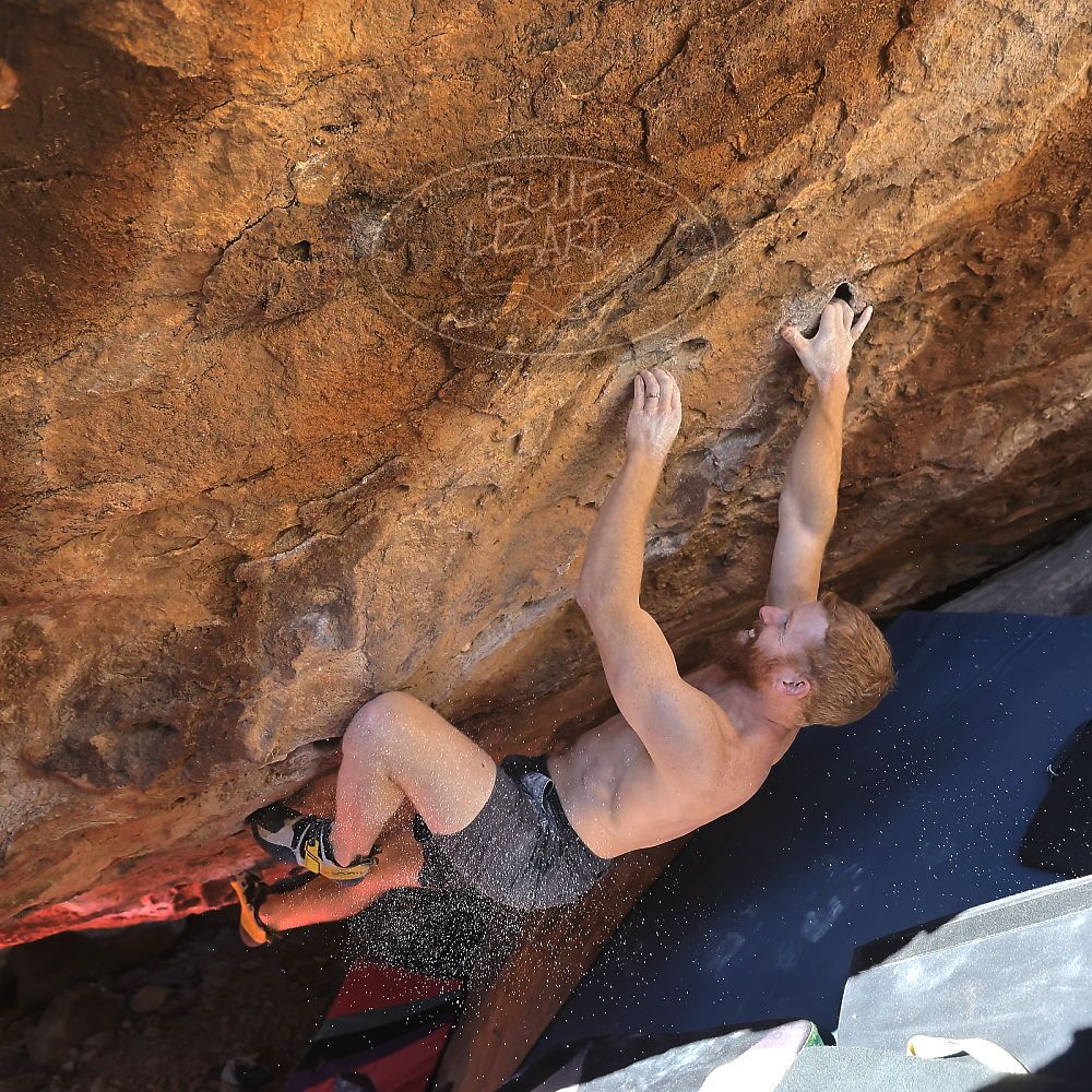 Filename: SRM_20231122_1349560.jpg
Aperture: f/4.0
Shutter Speed: 1/1250
Body: Canon EOS R6
Lens: Canon EF 16-35mm f/2.8 L