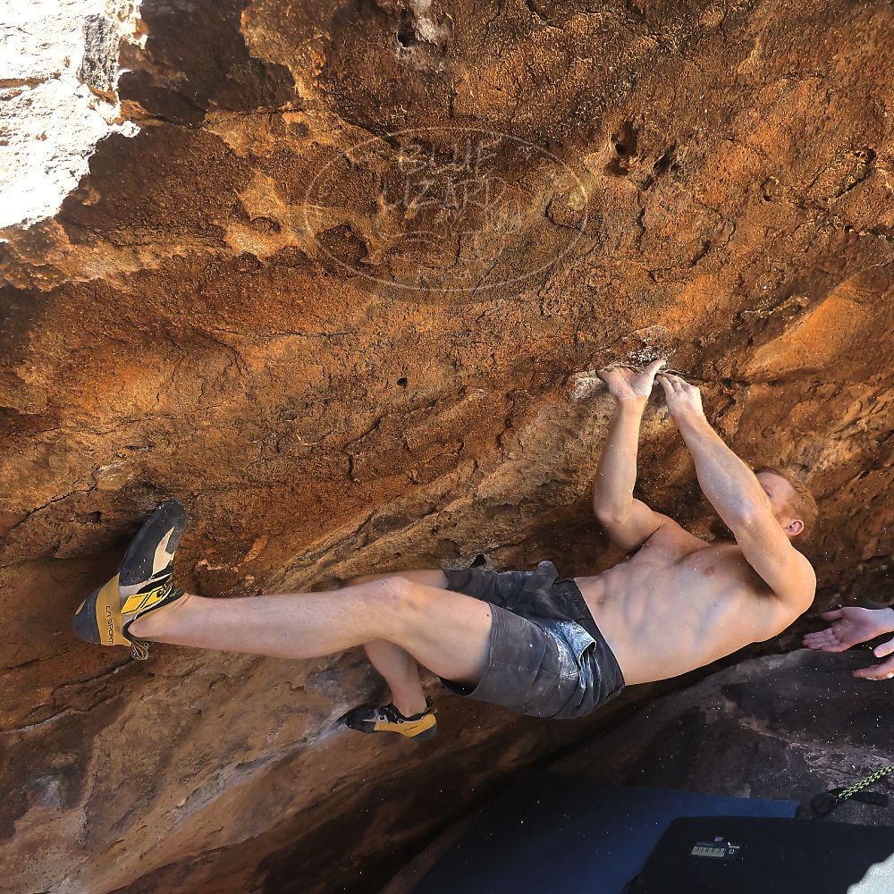 Filename: SRM_20231122_1350180.jpg
Aperture: f/4.0
Shutter Speed: 1/1250
Body: Canon EOS R6
Lens: Canon EF 16-35mm f/2.8 L