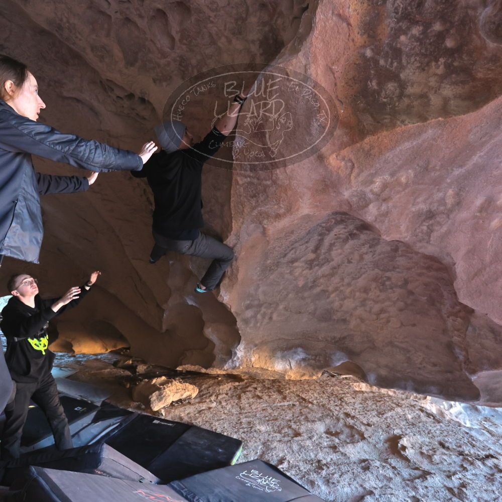 

Filename: SRM_20231122_1511080.jpg
Aperture: f/4.0
Shutter Speed: 1/250
Body: Canon EOS R6
Lens: Canon EF 16-35mm f/2.8 L