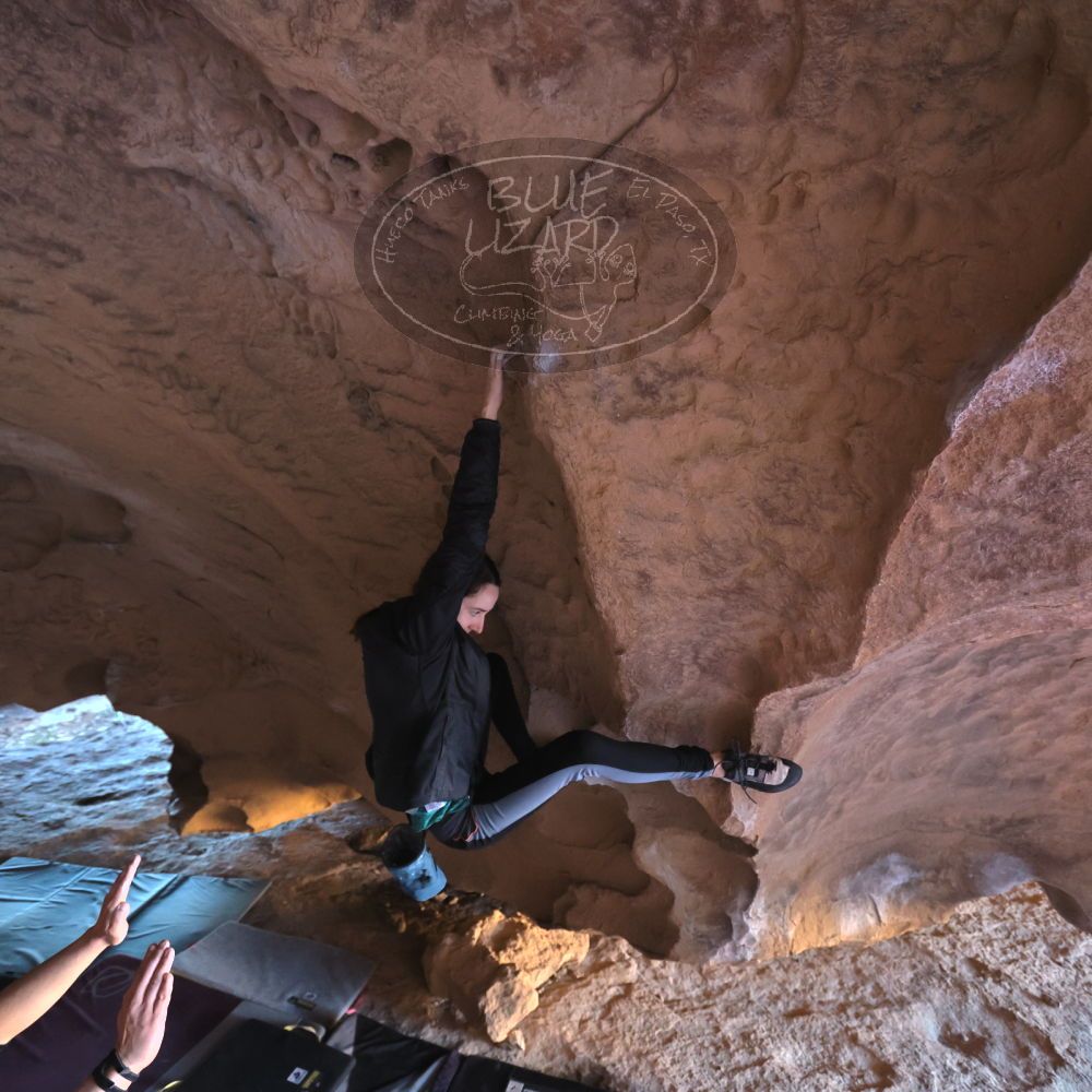 

Filename: SRM_20231122_1516190.jpg
Aperture: f/4.0
Shutter Speed: 1/250
Body: Canon EOS R6
Lens: Canon EF 16-35mm f/2.8 L