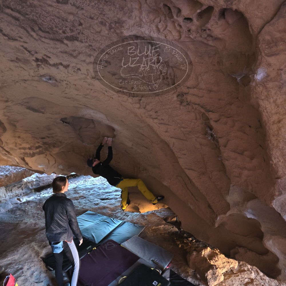 Filename: SRM_20231122_1517450.jpg
Aperture: f/4.0
Shutter Speed: 1/250
Body: Canon EOS R6
Lens: Canon EF 16-35mm f/2.8 L