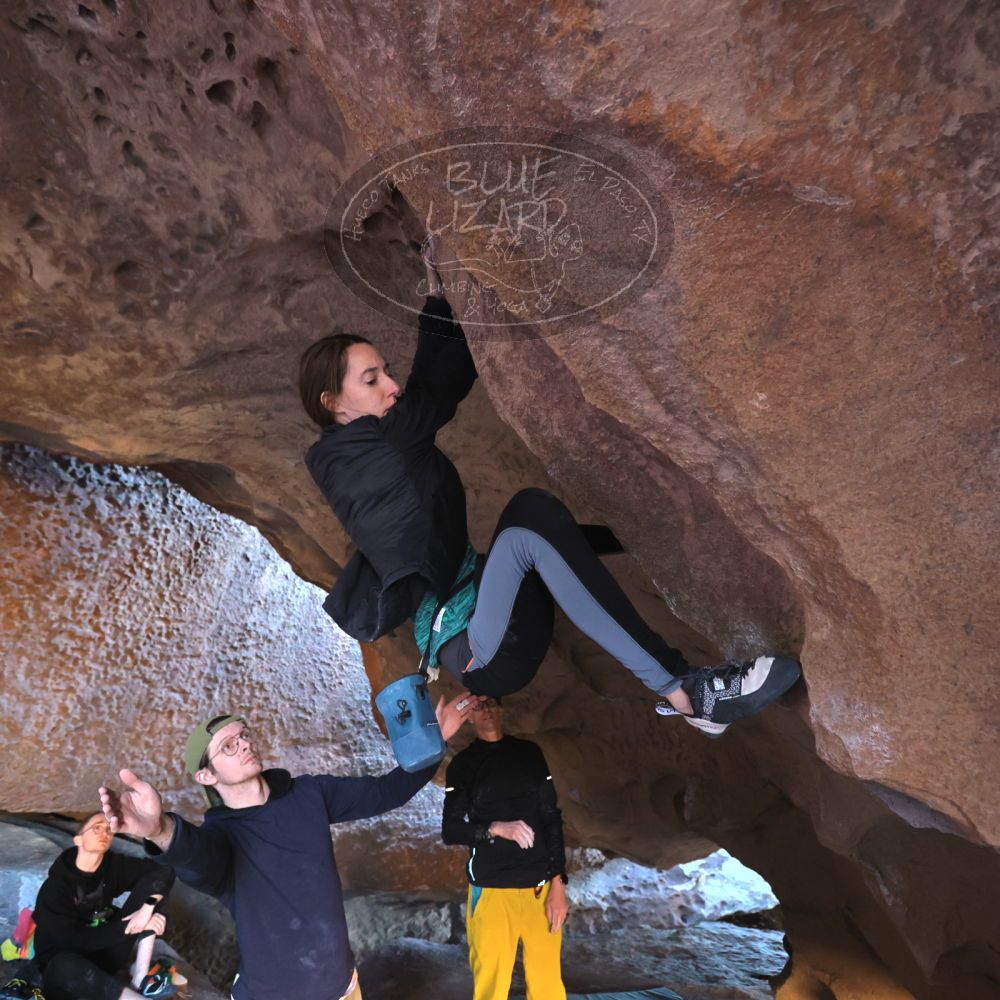 

Filename: SRM_20231122_1536020.jpg
Aperture: f/4.0
Shutter Speed: 1/250
Body: Canon EOS R6
Lens: Canon EF 16-35mm f/2.8 L