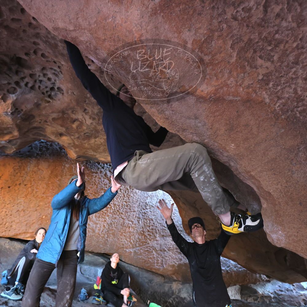 Filename: SRM_20231122_1537420.jpg
Aperture: f/4.0
Shutter Speed: 1/250
Body: Canon EOS R6
Lens: Canon EF 16-35mm f/2.8 L