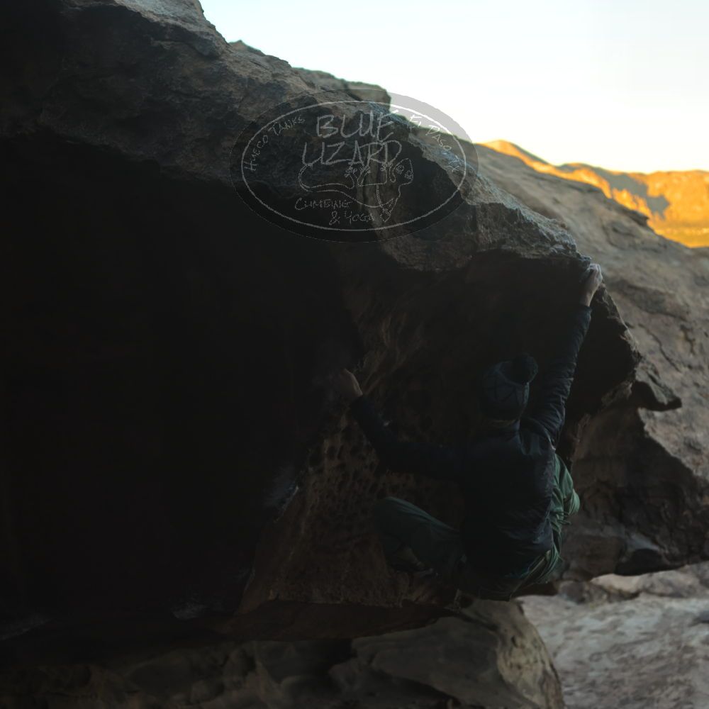 Filename: SRM_20231122_1646570.jpg
Aperture: f/4.0
Shutter Speed: 1/400
Body: Canon EOS R6
Lens: Canon EF 50mm f/1.8 II